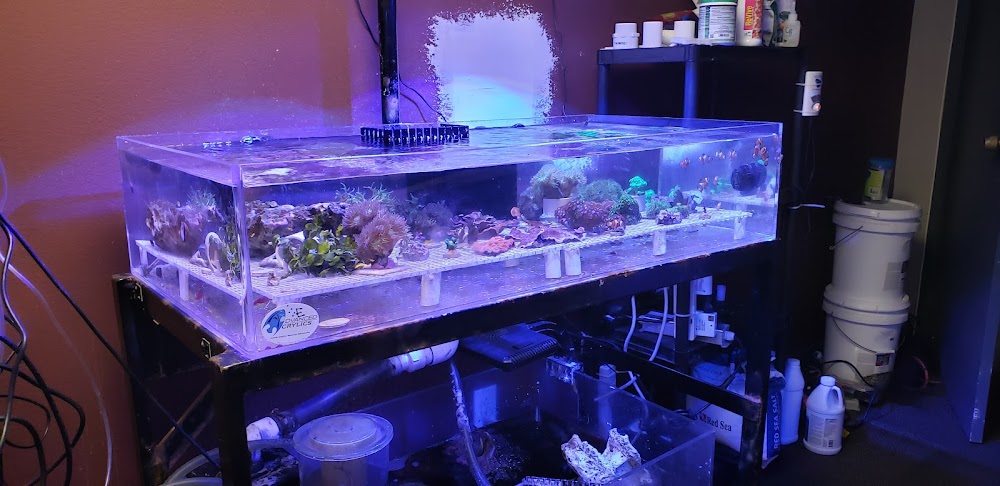 Orange County Reef Care