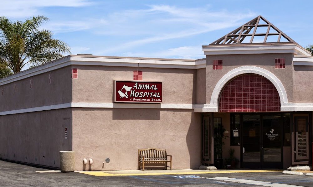 Animal Hospital of Huntington Beach