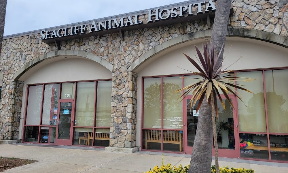 Seacliff Animal Hospital