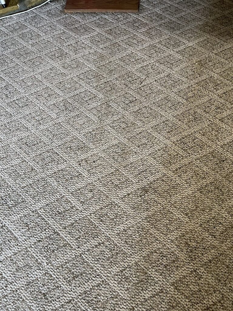 Prime Carpet & Rugs Cleaning