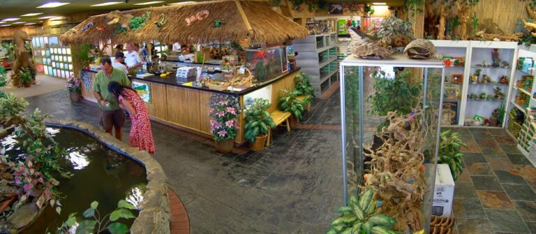 The Reptile Zoo