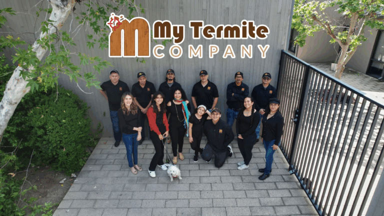 My Termite Company
