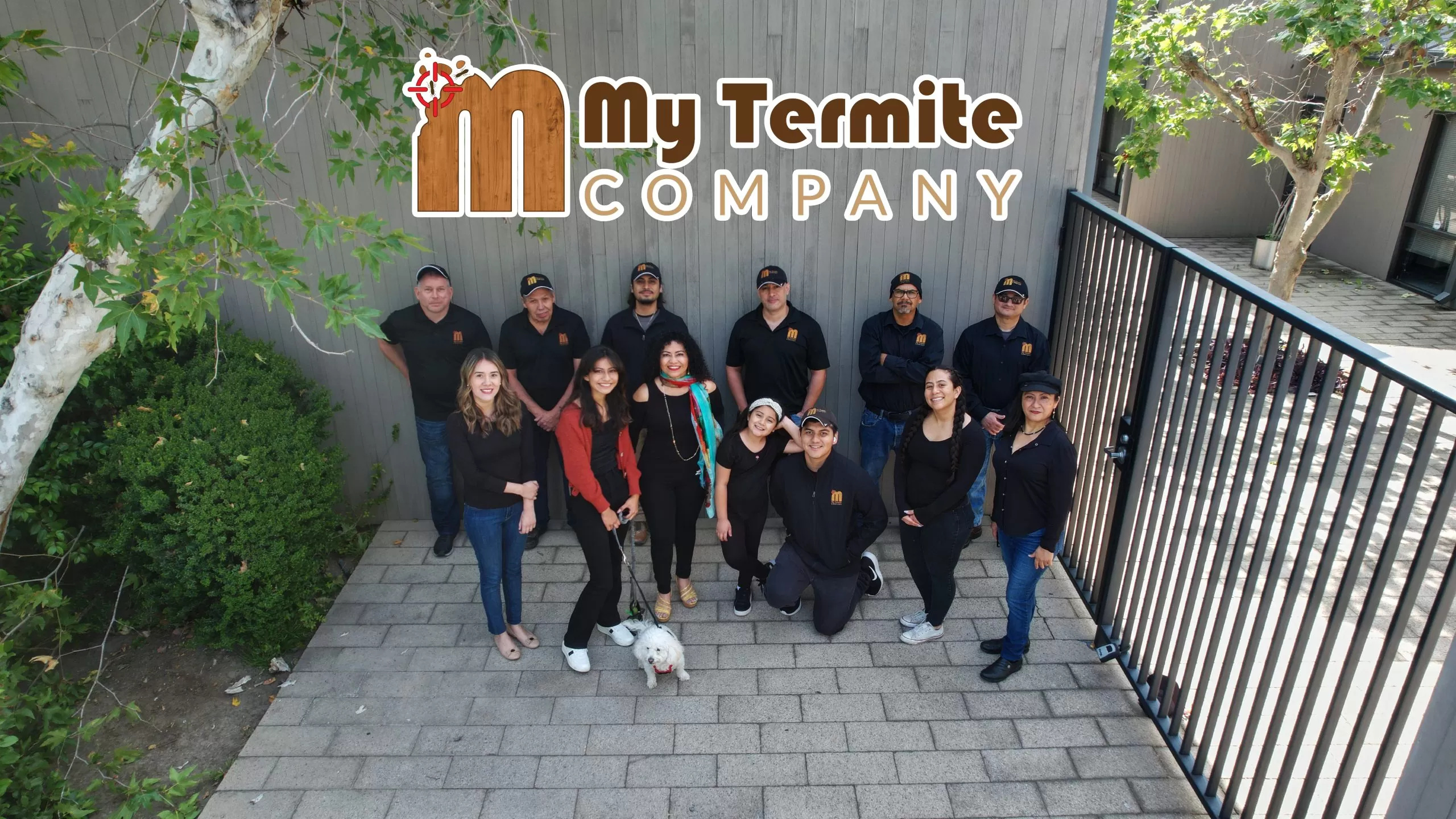 My Termite Company